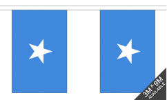 Somalia Buntings